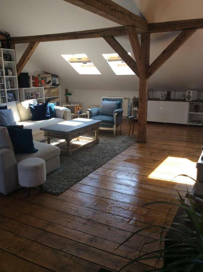 The White Loft Apartment Mulhouse Exterior foto